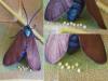 Theresimima ampellophaga